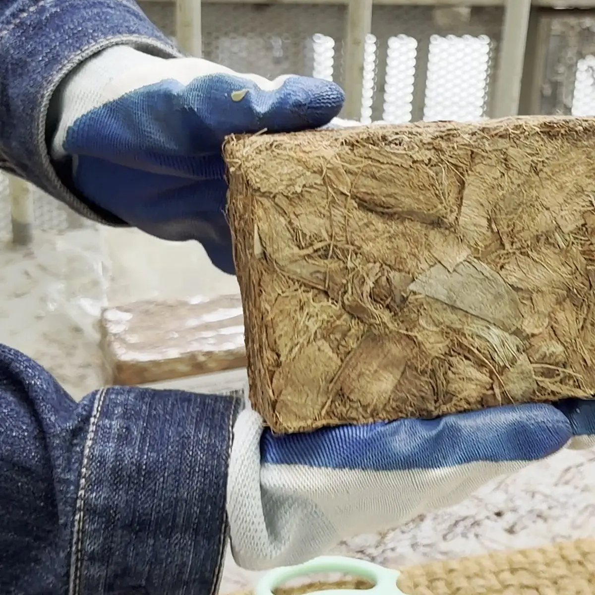 Gloved hands holding an unwrapped compressed brick of coconut chips