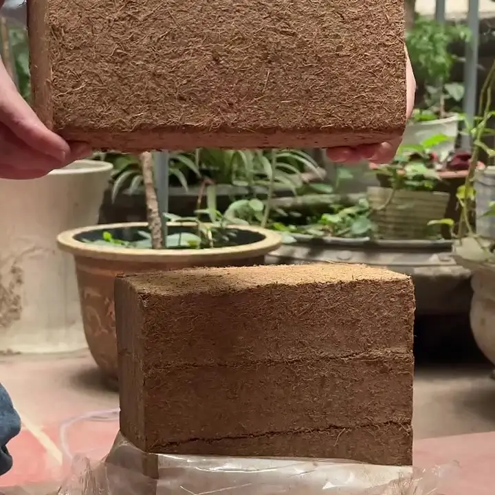 Hands lifting a single compressed NURTARA coir brick out of its opened 10-brick pack