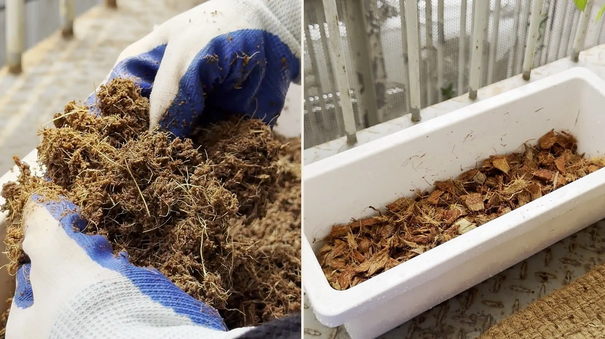 Side by side: fine, fibrous expanded coconut coir on the left and chunky coconut chips on the right, both held in gloved hands